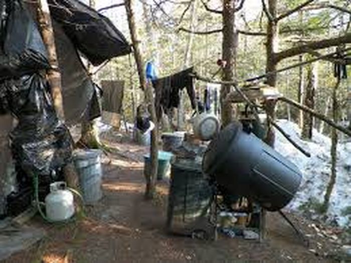 Rumah tempat tinggal Knight di hutan Skotlandia.