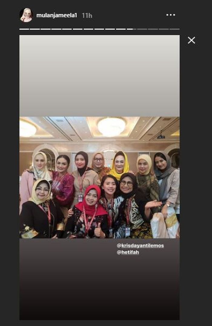 Unggahan Instagram Story Mulan Jameela