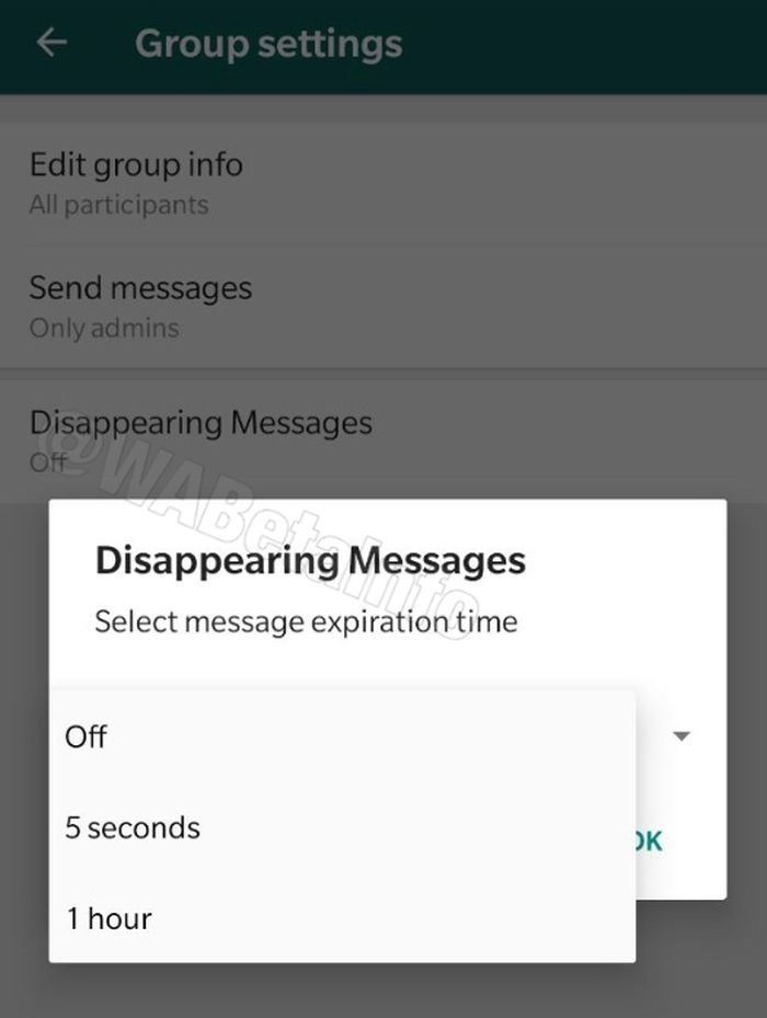 Bocoran fitur Disappearing Messages di WhatsApp