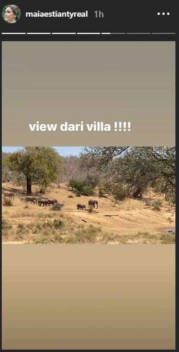 View dari dalam villa