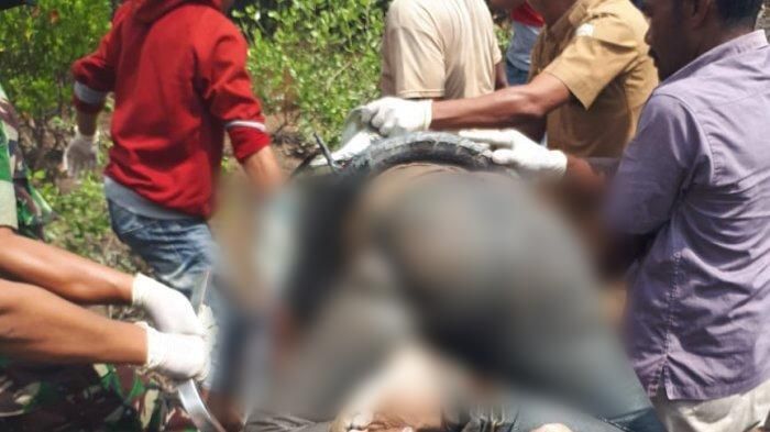 Misteri Mayat yang Terikat Rantai dan Terlilit Ban di Aceh, Mengapung Berhari-hari di Sungai hingga Membengkak