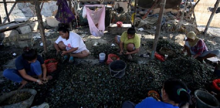 Buruh mengupas kerang hijau yang diolah di Kampung Kerang Hijau, Kalibaru, Cilincing, Jakarta Utara, Jumat (5/8/2018). Sejak 1981, budidaya kerang di Teluk Jakarta menjadi gantungan hidup ribuan orang.