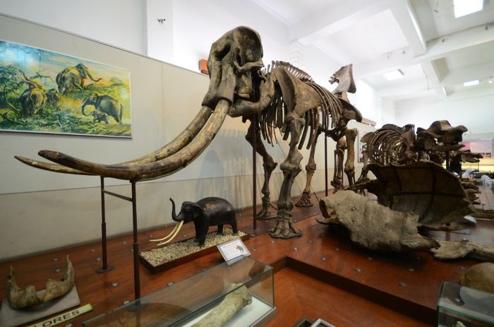 Hari Museum Nasional Kenali Pentingnya Peran Museum Bagi Bangsa