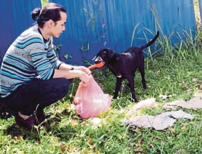 hmetro.com.my
Menurutnya, anjing sama seperti hewan lain yang perlu diperlakukan dengan baik