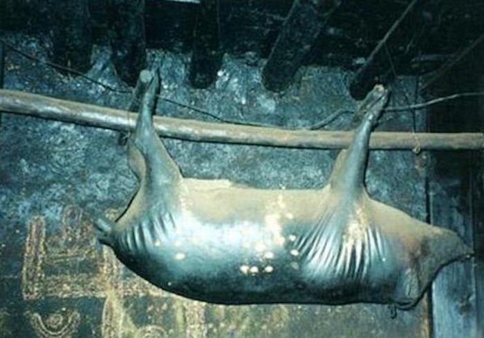 Meski daging busuk harganya mencapai Rp2 miliar