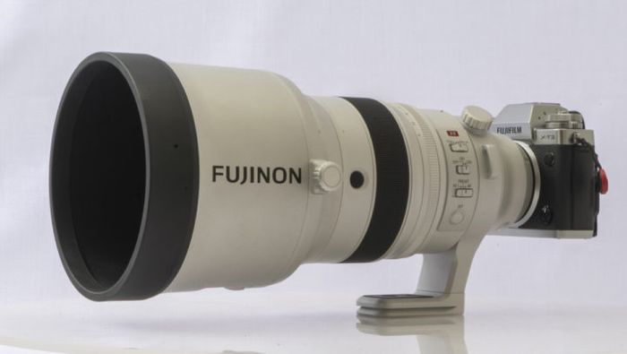 Jadi Pilihan Kamera Terbaik, Hasil Foto Lensa Tele untuk Mirrorless