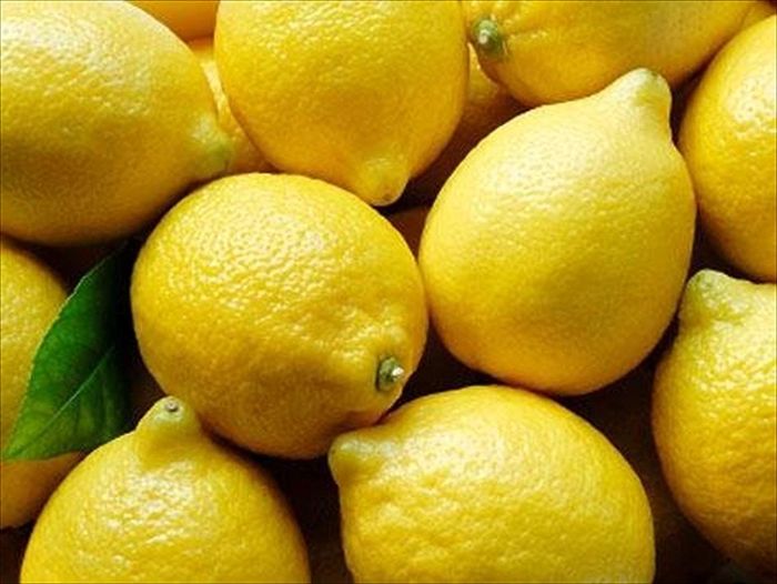 Lemon atau Jeruk Nipis