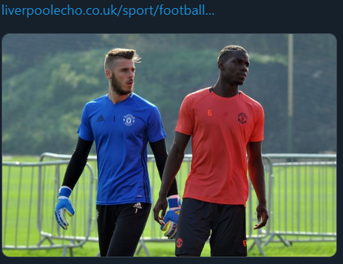 David De Gea (kiri) dan Paul Pogba (kanan) saat menjalani sesi latihan Manchester United.