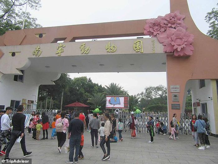 Sebuah Kebun Binatang Menggunakan Kepercayaan Budaya Setempat