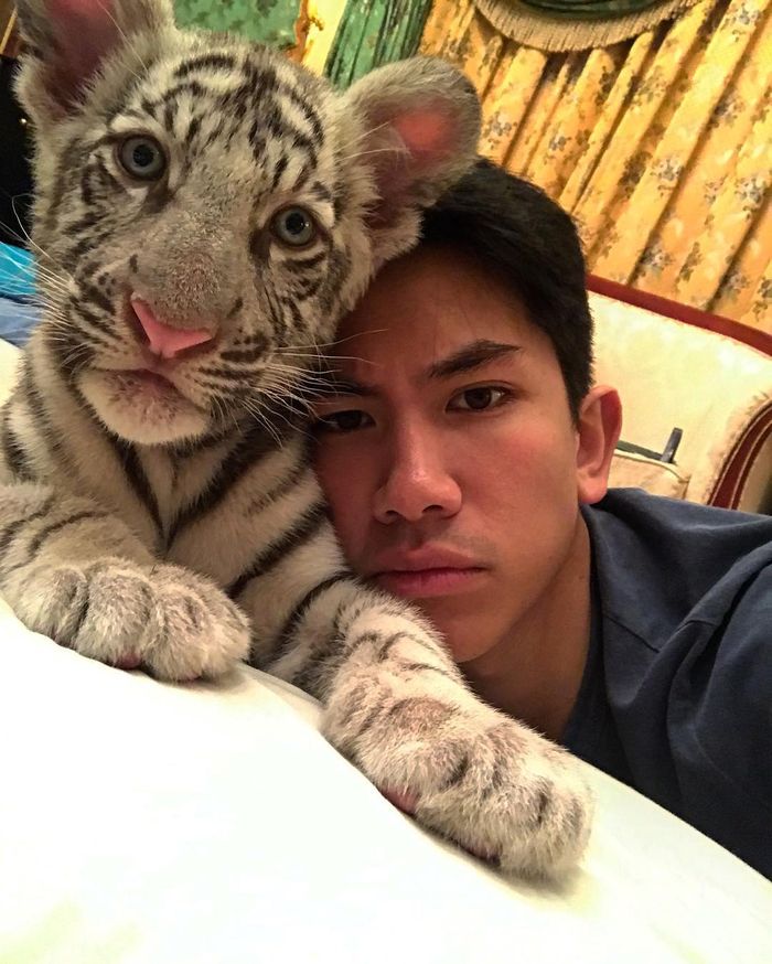 Peliharaan Pangeran Brunei