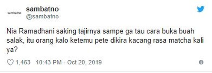 580+ Kolase Gambar Kulit Salak HD