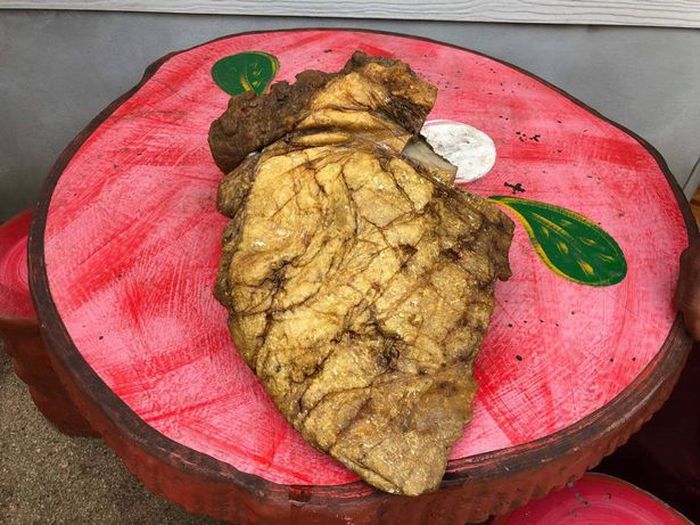 Ini adalah ambergris salah satu kotoran termahal di dunia.