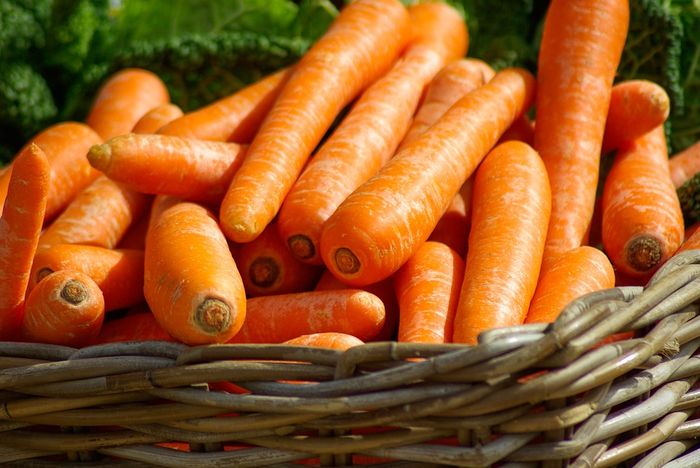Bukan Dapat Manfaat, 5 Sayuran Ini Justru Kehilangan Nutrisinya Jika