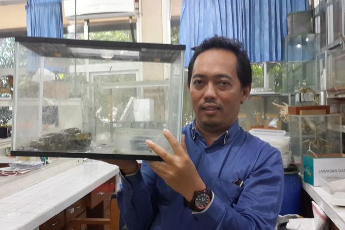 Pakar Herpetofauna dari Universitas Brawijaya Nia Kurniawan