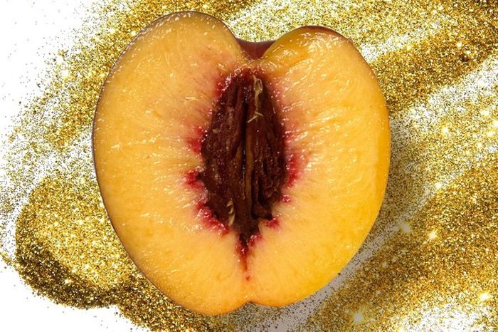 Ilustrasi vagina