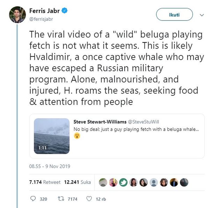 Cuitan Ferris mengenai Hvaldimir