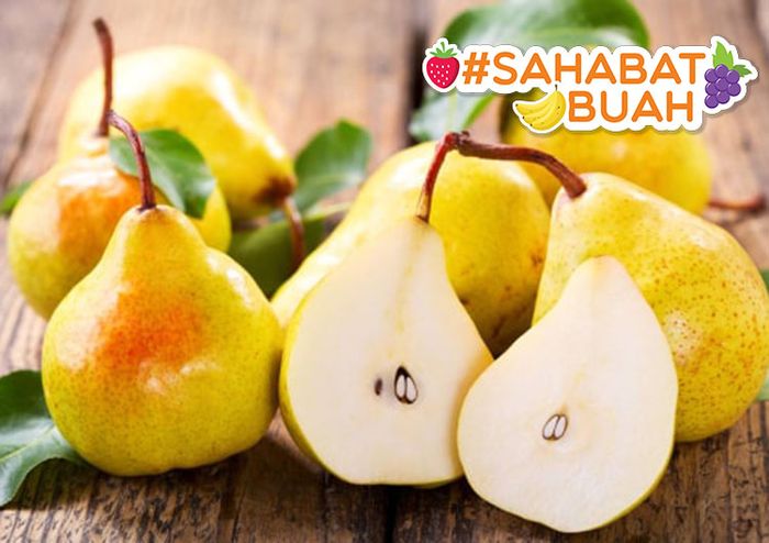 Aneka Jus dari Campuran Buah dan Berbagai Manfaatnya untuk Kesehatan