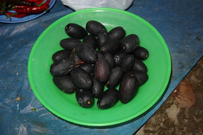 Buah Unik Khas Kalimantan Ini Rasanya seperti Mentega ...