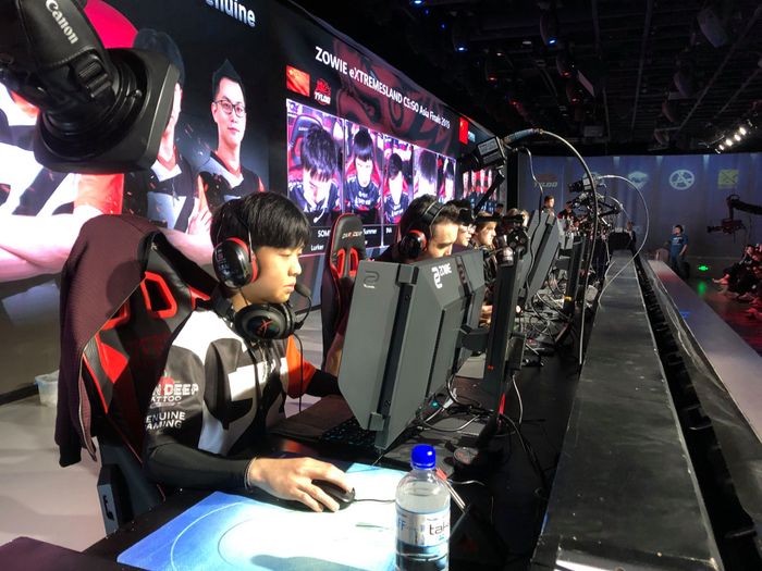 Zowie Asia Extremesland