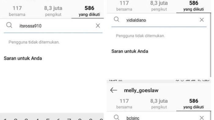 Rossa, Vidi, dan BCL diunfollow Melly Goeslaw
