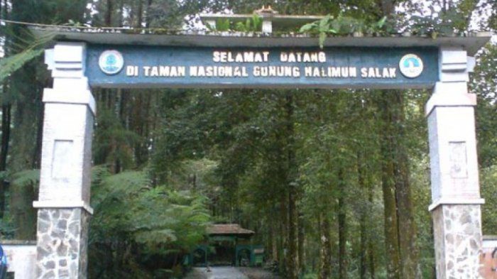 225520129 - 5 Hutan Paling angker di indonesia yang membuat merinding