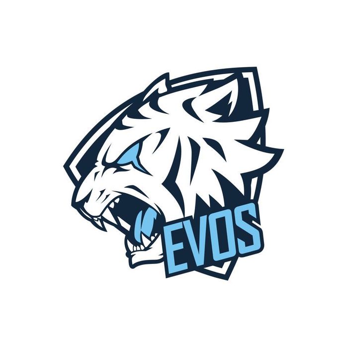 Crazy Visa Collaboration With Evos Esports Presents Big Discounts Everyday News