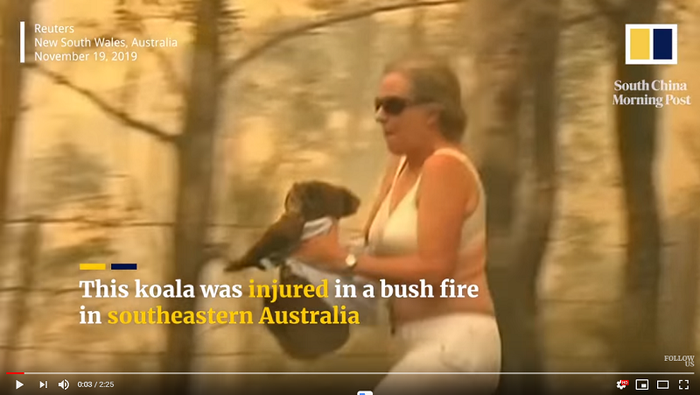 Doherty berlari setelah meraih koala