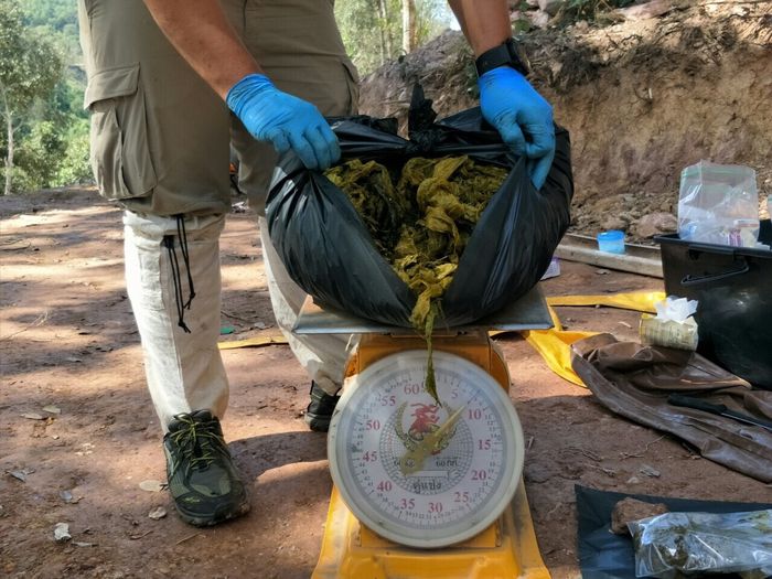 Sebanyak 7 Kg sampah ditemukan di dalam perutnya.