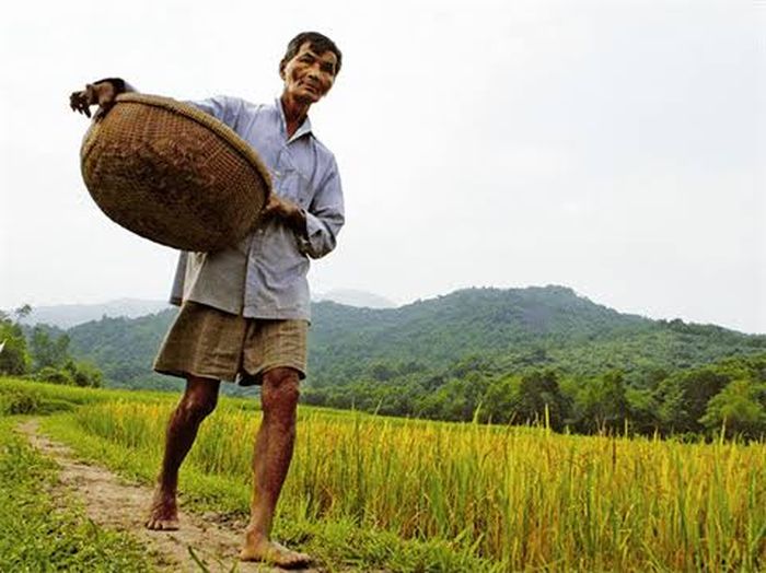 Dia melakukan pekerjaan sehari-hari sebagai petani dan peternak.