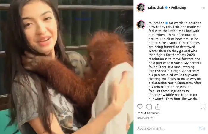 Raline Shah prihatin terhadap orang utan di Sumatera yang terkena kebakaran hutan
