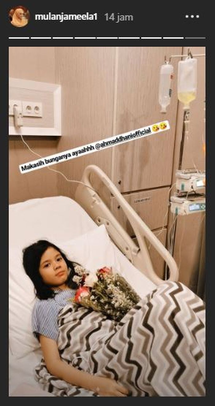 Safeea dapat bunga dari Ahmad Dhani
Tangkap layar Instagram Story @mulanjameela1