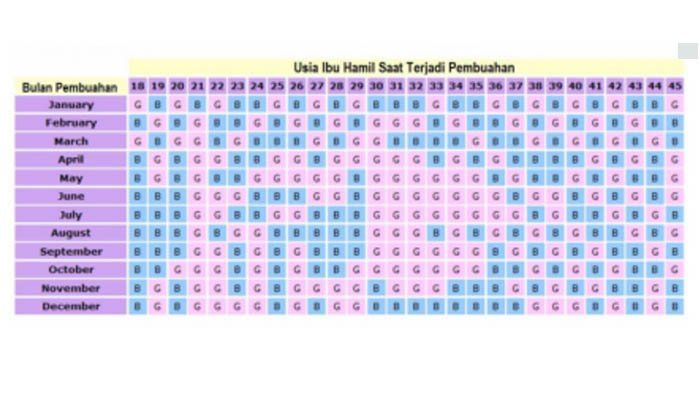 Jenis Kelamin Bayi Bisa Dilihat pada Usia Berapa Bulan? - Semua Halaman