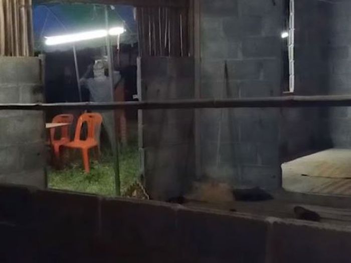 Rumahnya yang terbuka membuat udara dingin mudah masuk ke dalam.