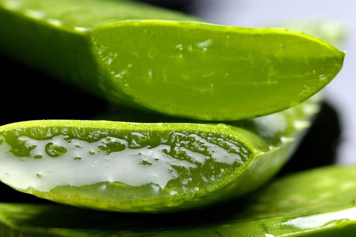 Gigitan Nyamuk Bisa Menyebabkan Iritasi dan Bekas Luka, Bahan Alami Ini