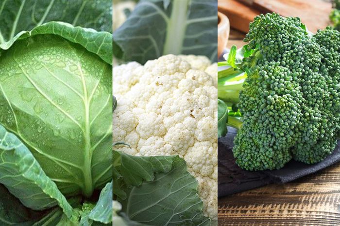 Sayuran Cruciferous