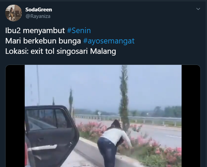 Video seorang ibu-ibu yang kedapatan memetik bunga di jalan tol