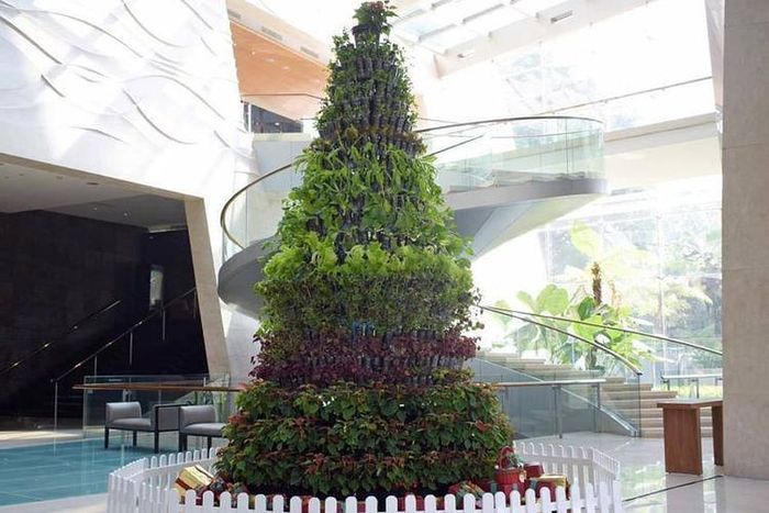 Pohon Natal terbuat dari ratusan pohon organik ditanam dalam pot botol bekas