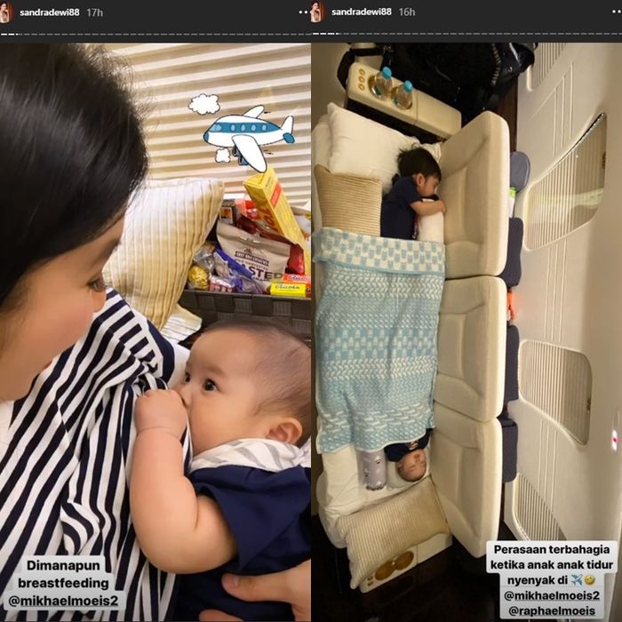 Sandra Dewi mengunggah jet pribadinya
