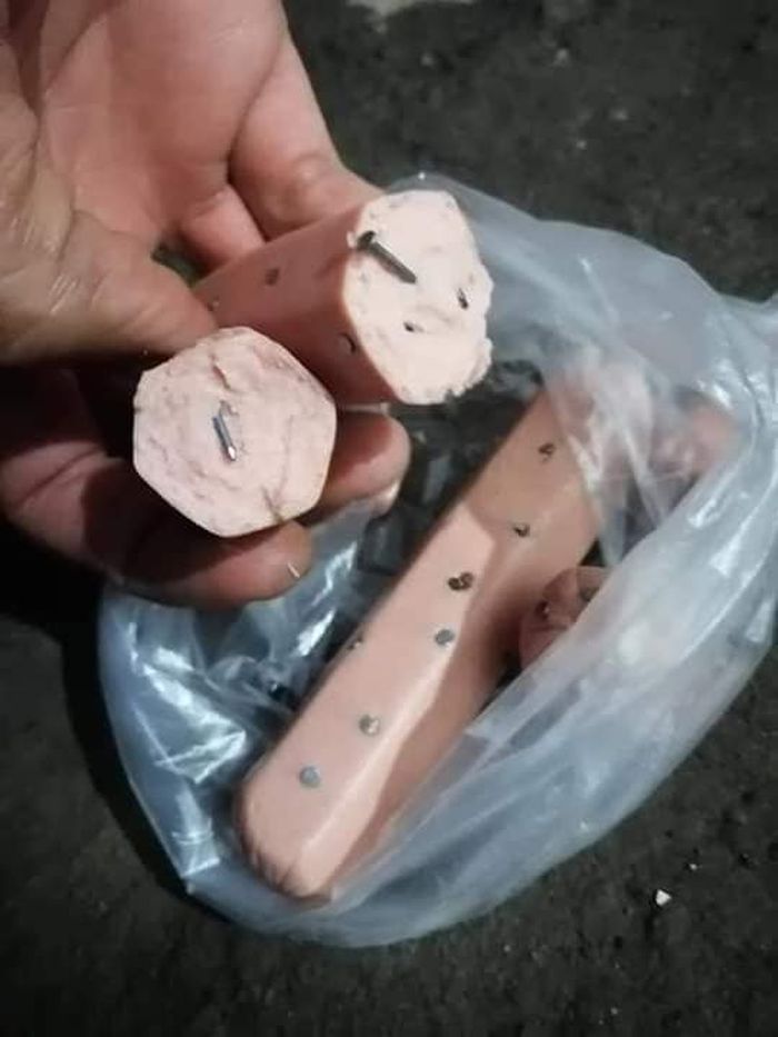 Miris Anjing Anjing Liar Ini Sengaja Diberi Makanan Dengan Paku