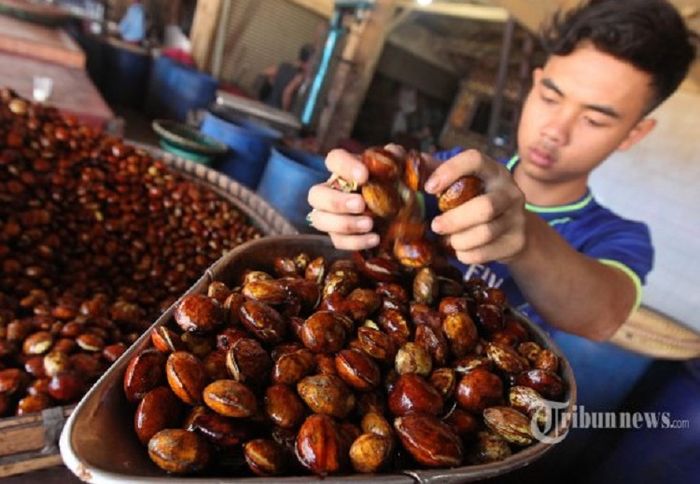 Jengkol