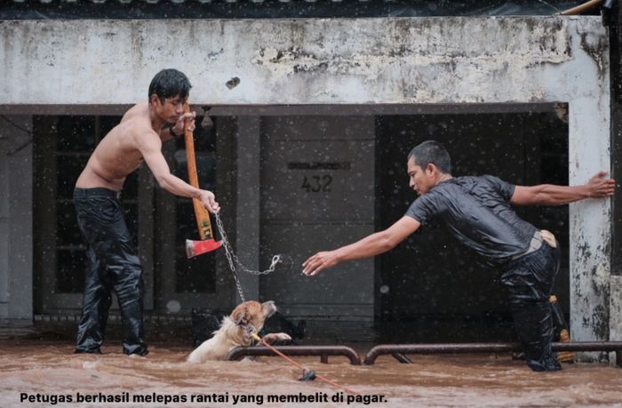 Detik-detik penyelamatan