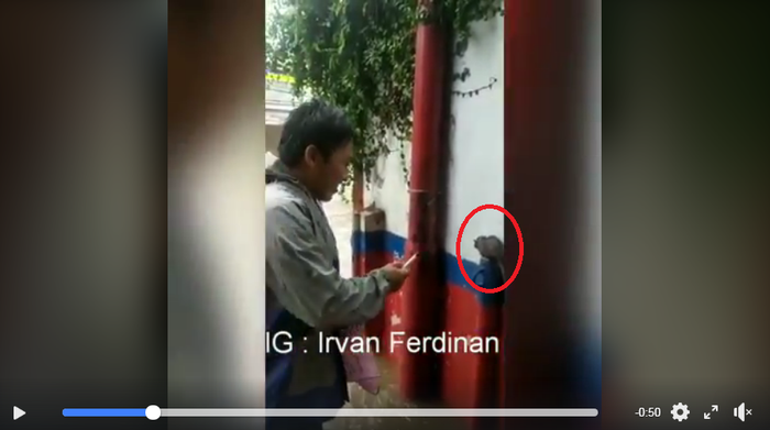 Viral, seorang pria mewawancarai seekor tikus saat banjir di Jakarta.
