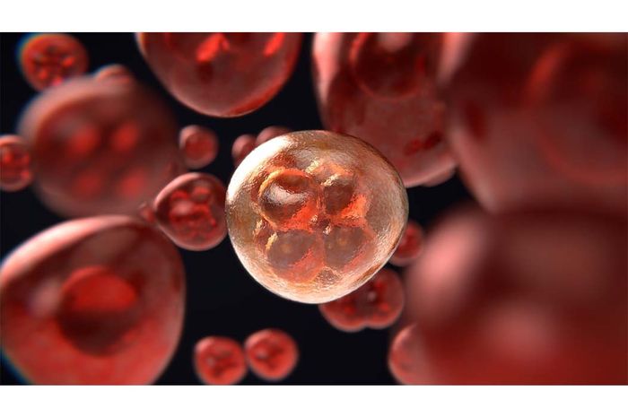 Ilustrasi Sel Kanker