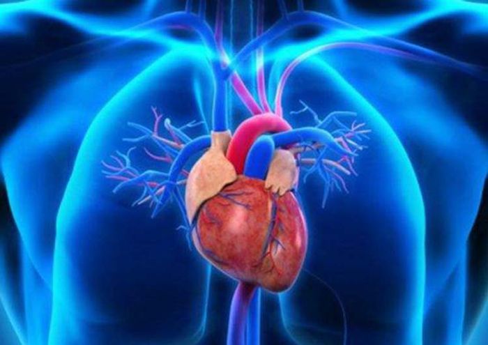 Serangan jantung bisa terjadi bila mengkonsumsi gula aren berlebihan