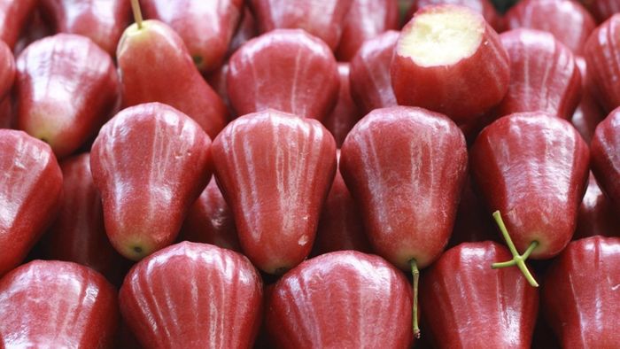 Jambu air untuk atasi hipertensi.