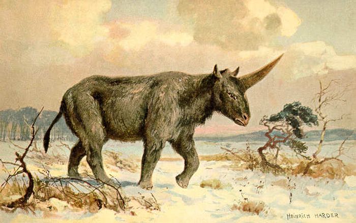 Berbeda dengan di Kisah Dongeng, Begini Tampilan Unicorn yang Pernah