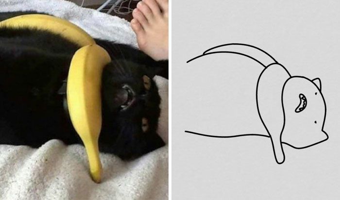Kelihatannya Digambar dengan Asal, Namun Gambargambar Hewan Ini Unik