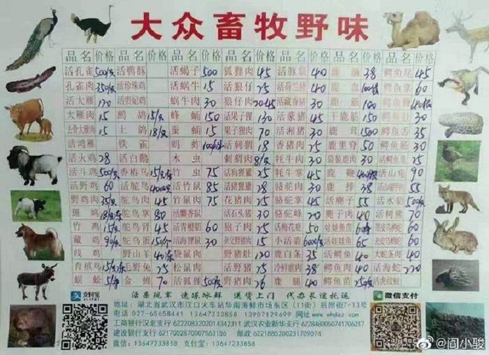 Virus Misterius Corona Muncul di Tiongkok, Diduga Berasal