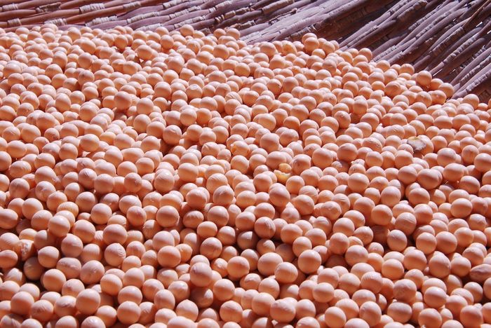 Apakah Edamame dan Kacang Kedelai Itu Berbeda? Cari Tahu, yuk! - Bobo