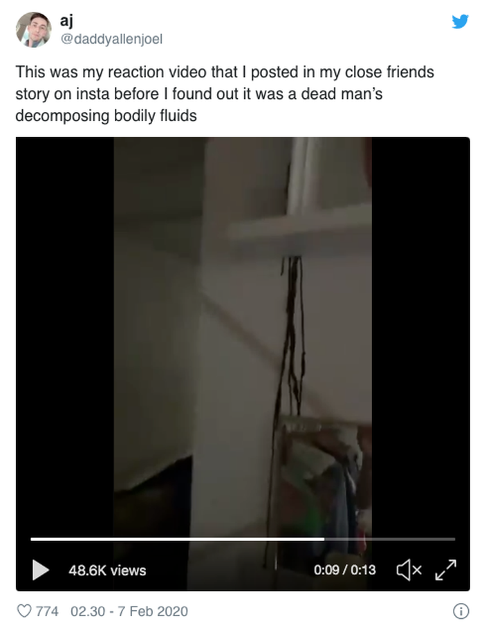 Apartemennya Berbau Busuk dan Muncul Darah Hitam dari Plafon Rumah, Pria Ini Kaget Setelah Temukan fakta Mengerikan di Huniannya